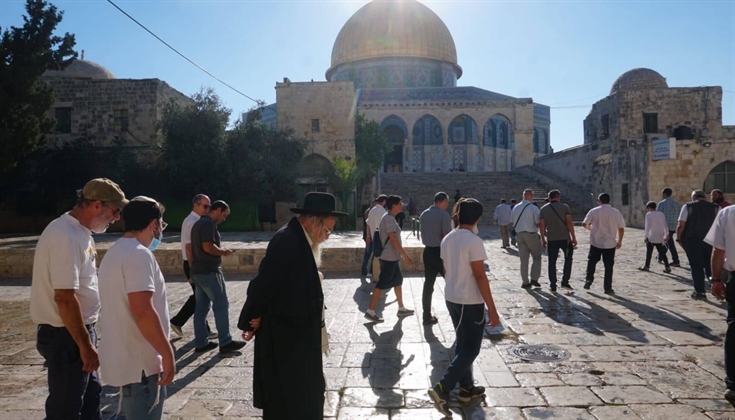 اعداد المقتحمين اليوم للأقصى من أكبر الارقام بعد هبة ٢٨ رمضان