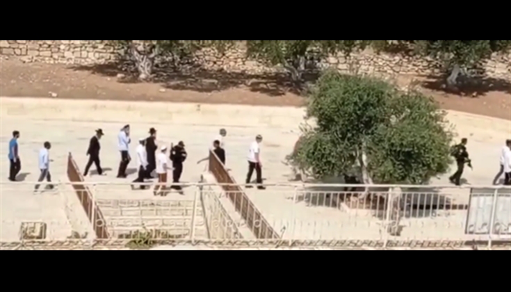 محيط باب الرحمة الذي فتحه المصلون رغما عن الاحتـلال