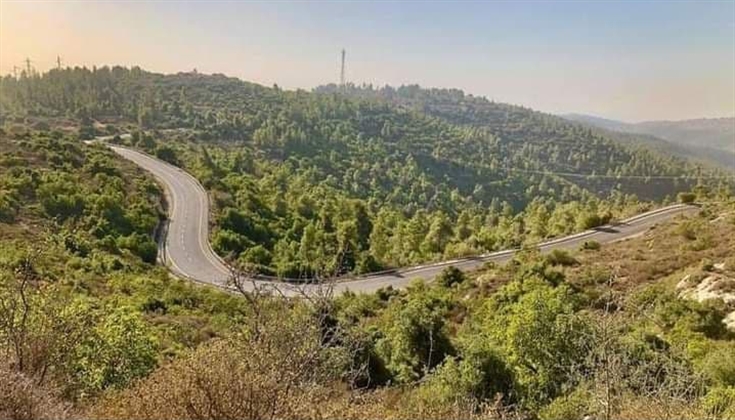 هدف التشجير الاستعماري