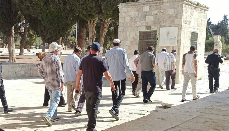 مستوطنون يقتحمون المسجد الأقصى صباح اليوم