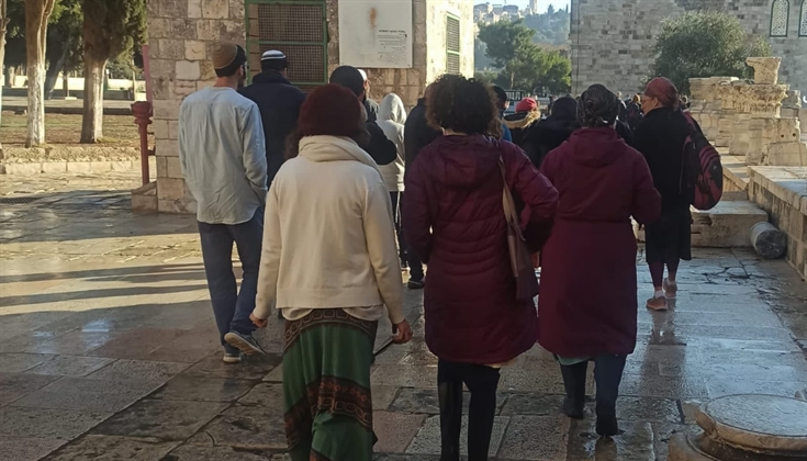 رغم بروده الجو، ،،صور من إقتحامات المستوطنين للأقصى صباح اليوم