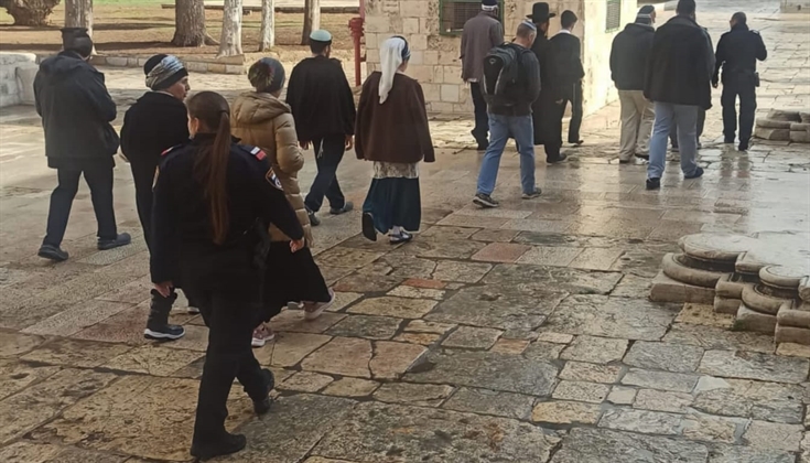 رغم بروده الجو، ،،صور من إقتحامات المستوطنين للأقصى صباح اليوم