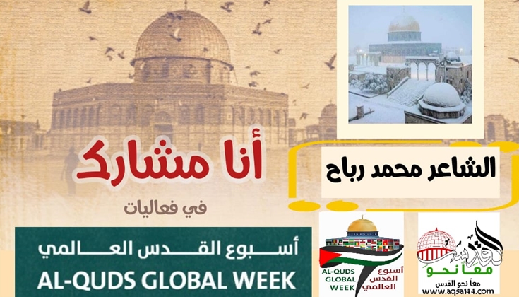 ثلج ناصع الالم .. للشاعر محمد رباح