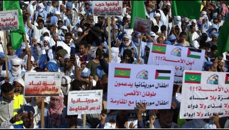 "لا وقت للفرح وغزة تباد".. دعوات لإلغاء حفل لصابر الرباعي