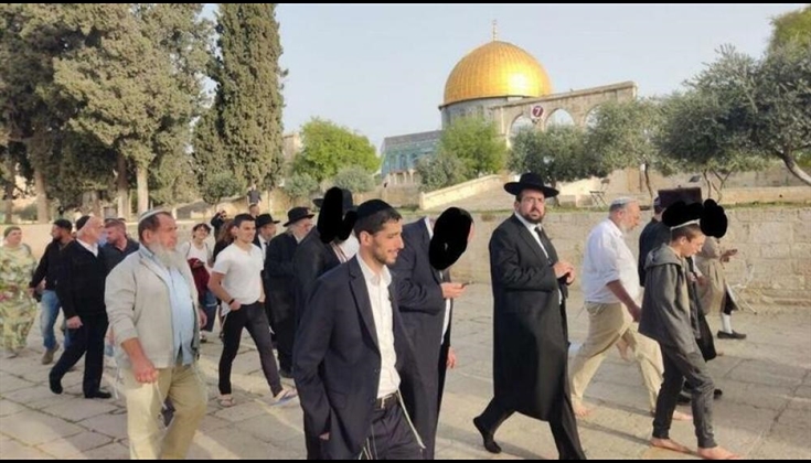 مستوطنون يقتحمون الأقصى ويؤدون طقوسًا تلمودية