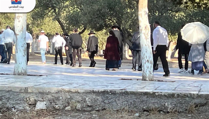 أكثر من 2500 مستوطن اقتحموا المسجد الأقصى خلال الأسبوع الماضي