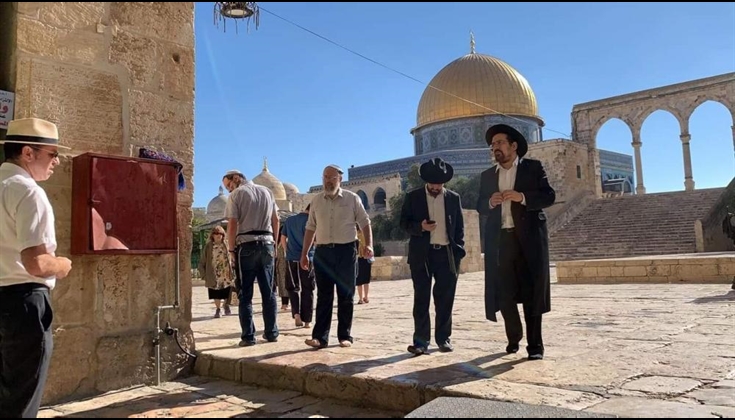 105 مستوطنين يقتحمون الأقصى