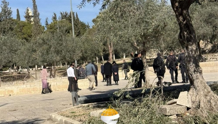 مستوطنون يقتحمون المسجد الأقصى