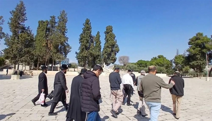 عشرات المستوطنين يقتحمون الأقصى وسط إجراءات مشددة