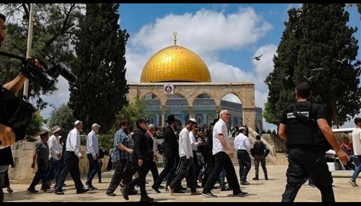 المستوطنون نفذوا أكبر اقتحامٍ لـ "الأقصى" في تاريخ "عيد المساخر"