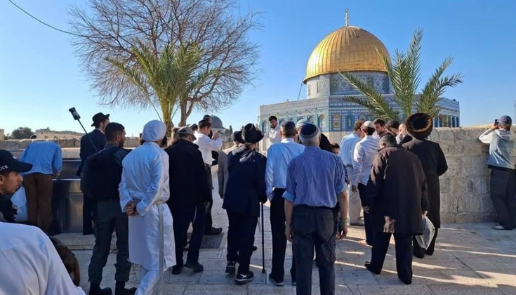 123 مستوطنًا يقتحمون الأقصى ويؤدون طقوسًا تلمودية