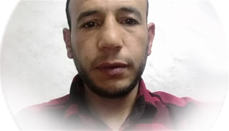 شكراً للحمير