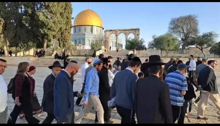 عشرات المستوطنين يؤدون طقوسا تلمودية في باحات "الأقصى"