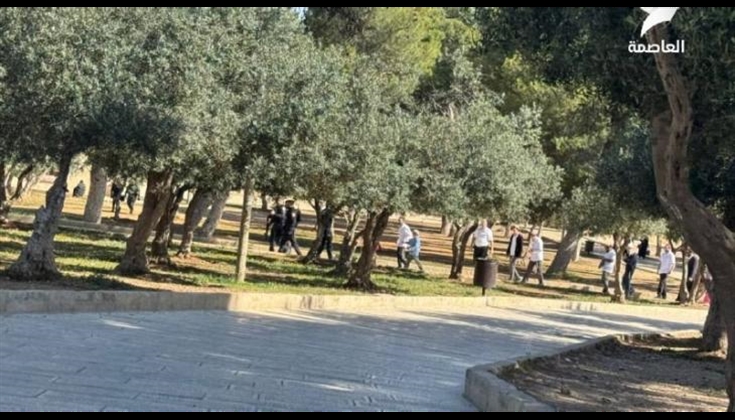 عشرات المستوطنين يقتحمون المسحد الأقصى المبارك
