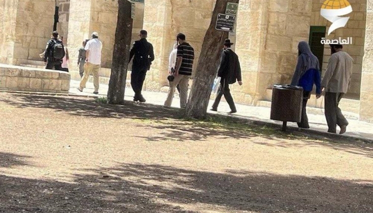 عشرات المستوطنين يقتحمون الأقصى